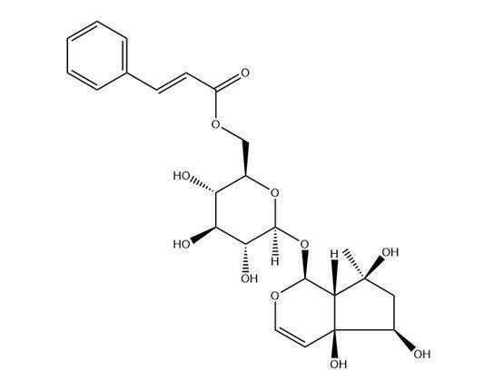 6’-O-肉桂?；蛙?>
                                                    <p>ST81330105</p>
                                                </a>
                                                <dl>
                                                    <dt class=