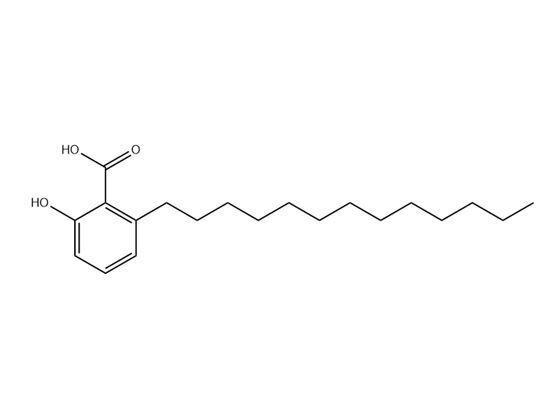 白果新酸