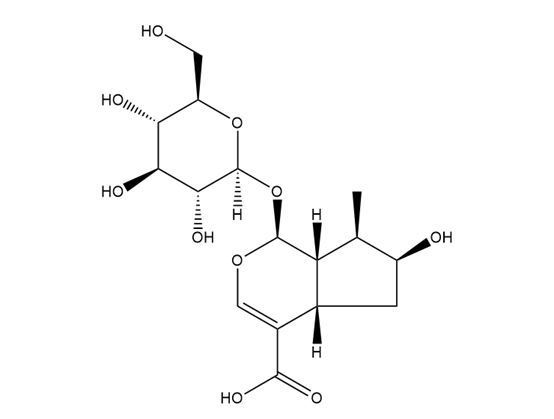 馬錢苷酸