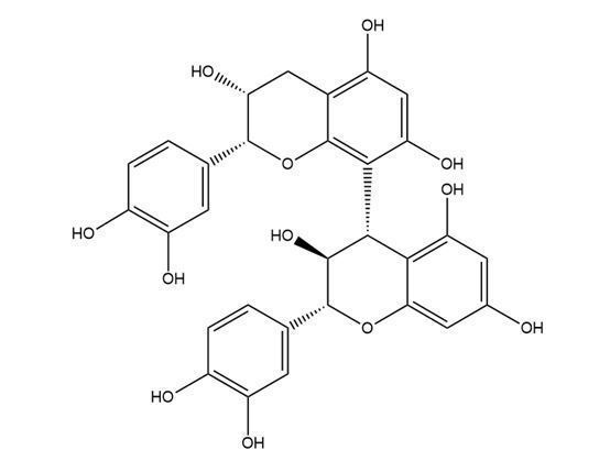 原花青素B4