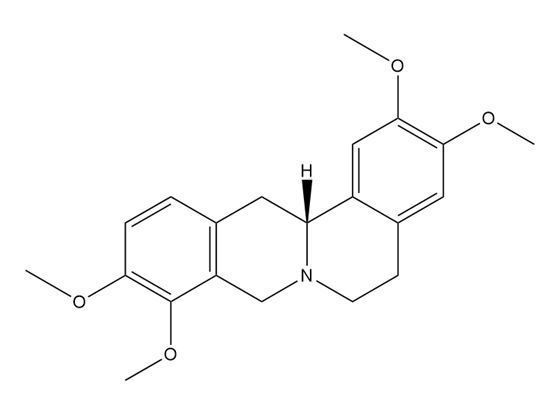 右旋四氫巴馬汀