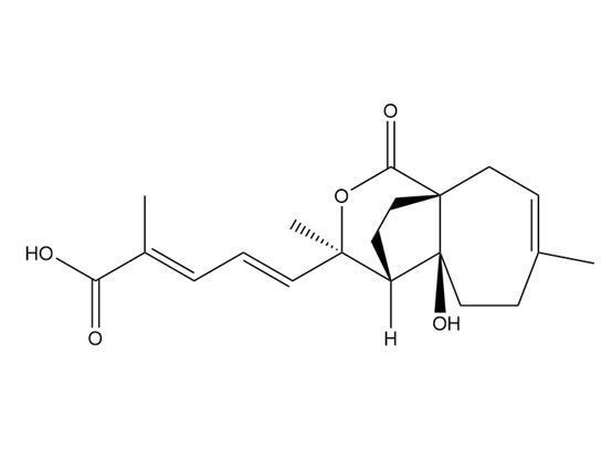去乙?；燎G皮甲酸